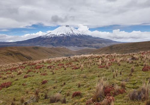 Cotopaxi Mountains in distance
