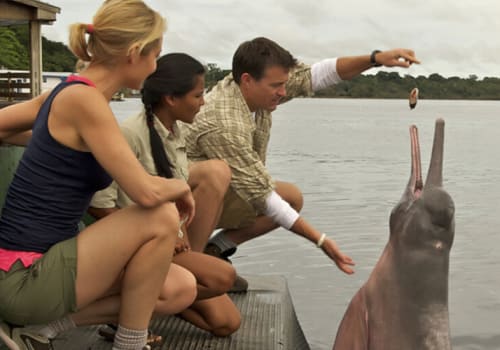 Hand Feeding Pink River Dolphin