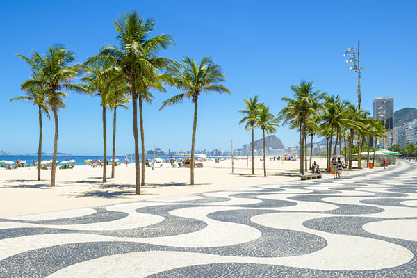 Rio Promenade with Palm Trees