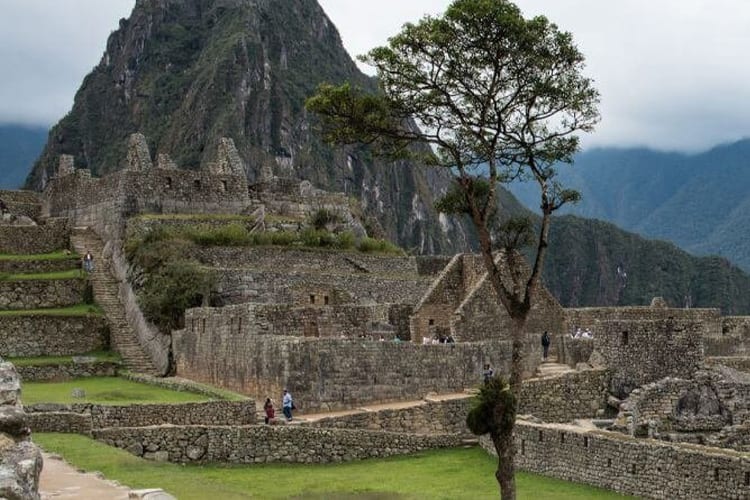 Machu Picchu Peru Terraces