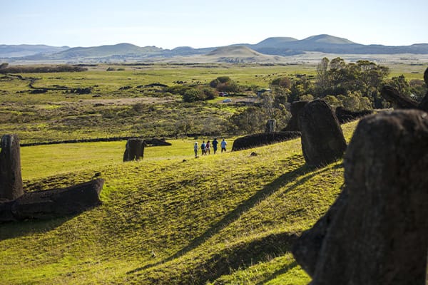 Day tour to visit the Moai