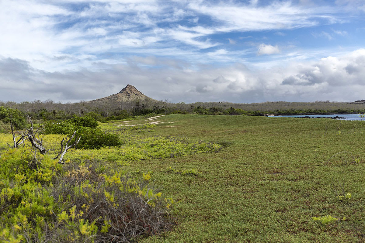 Galapagos Horizon - Southern & Central