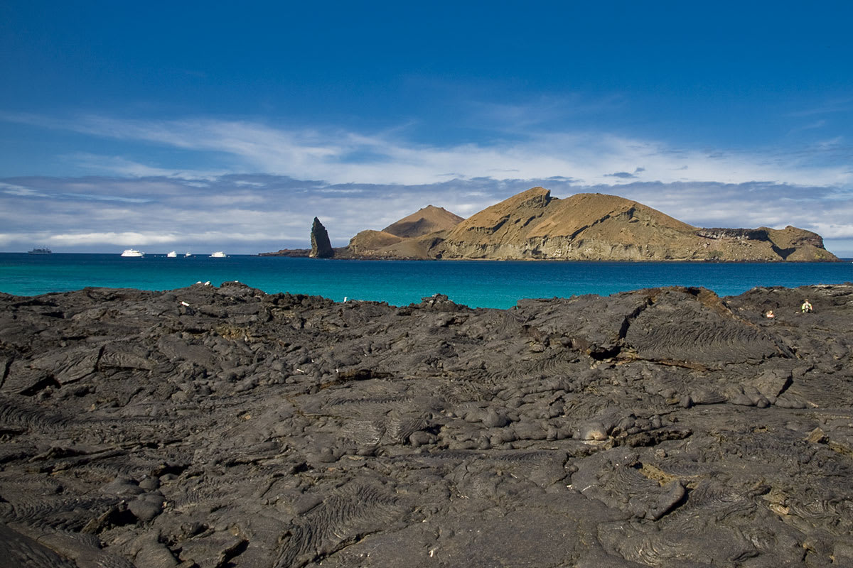 Galapagos Horizon - Western, Northern & Central Islands
