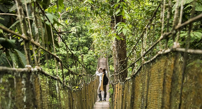 Girl Enjoying Canopy Walkway Brazil Pantanal