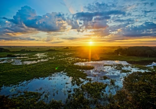 Sunrise Pantanal Brazil Pantanal