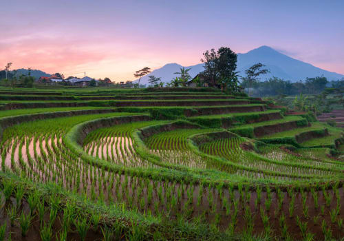 plantations in indonesia