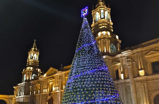 Christmas tree in front of the Cathedral