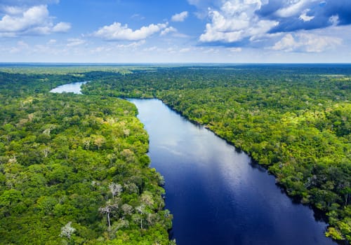 Amazon,Rainforest,In,Brazil