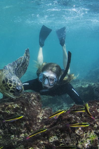 Snorkeling In Galapagos With Turtle