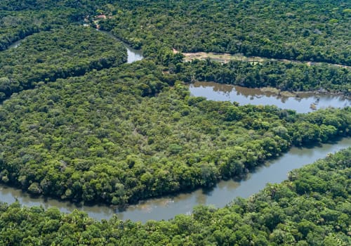 Aerial View Of A Meandering Amazon Tributary River, Amazonian Rainforest