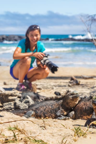 A Lady Taking Photos Of Marine Iguanas