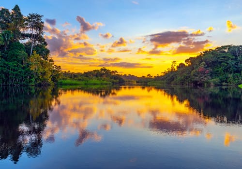 Magic Sunset In The Amazon Rainforest, Yasuni National Park