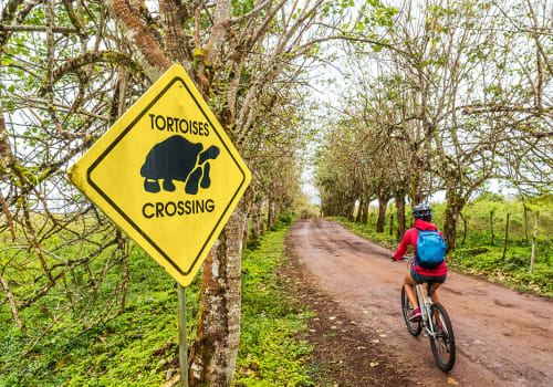 Galapagos,Giant,Tortoise,Funny,Sign,And,Woman,Tourist,Cycling