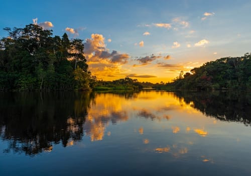 Sunset In The Amazon River Rainforest Basin
